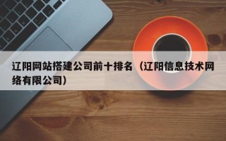 海南辽阳网站搭建公司前十排名（辽阳信息技术网络有限公司）