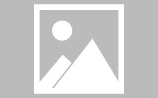 海南广州专业搭建网站平台（广州网站建设方案开发）